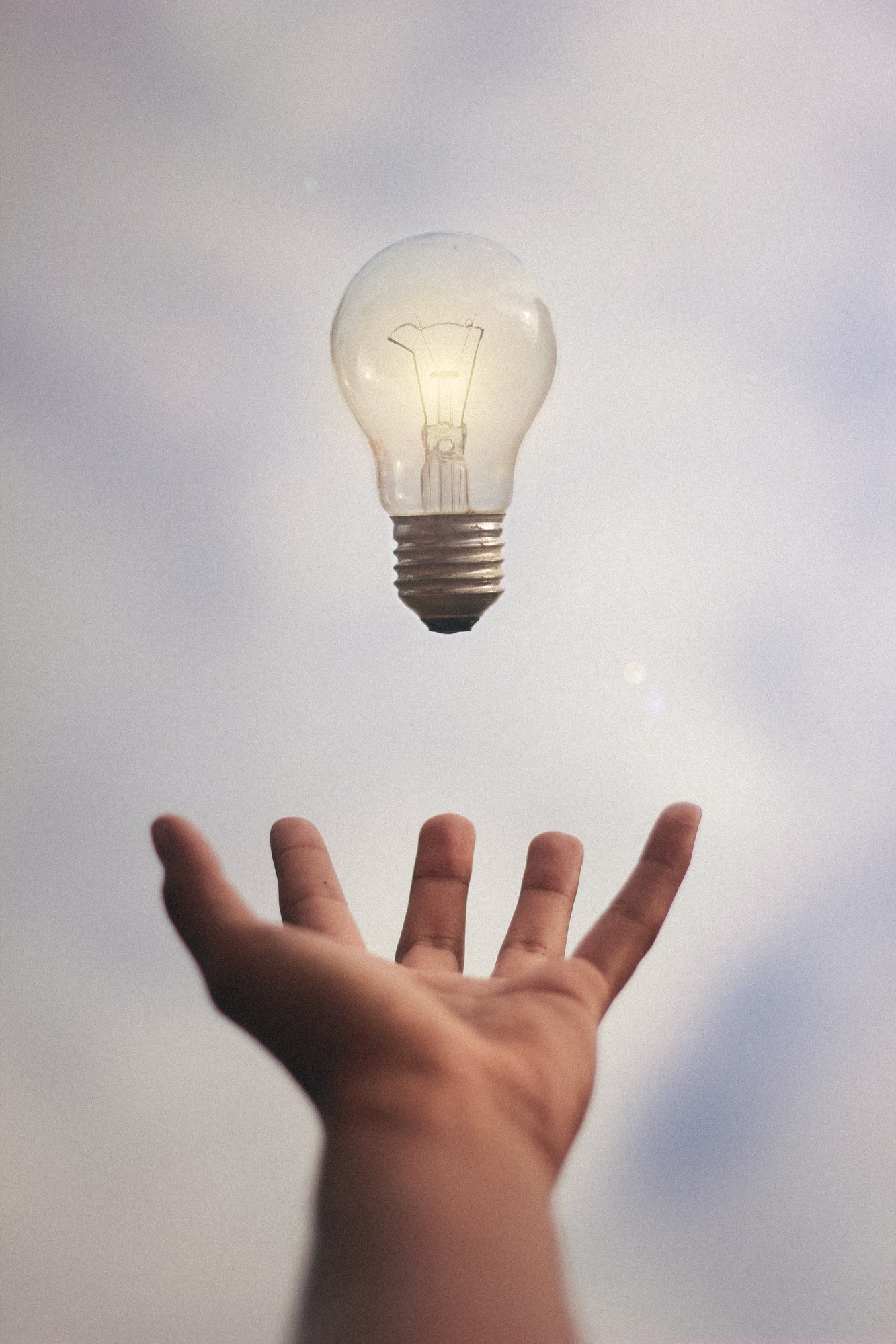 junior-ferreira-735237-unsplash junior-ferreira-735237-unsplash